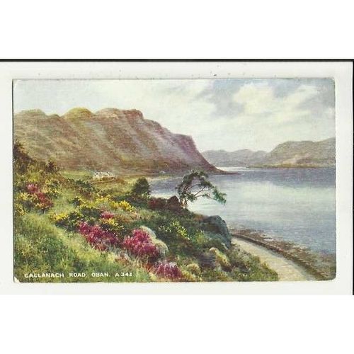 A342 Scotland OBAN Gallanach Road Valentine "Art Colour" Postcard