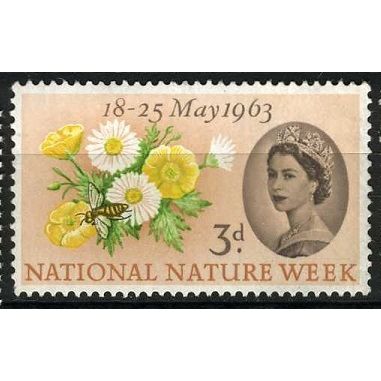 1963 SG 637 - MLH (*)