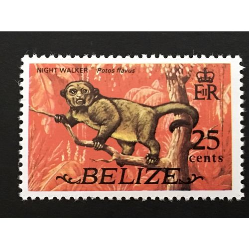 Belize 1974 25c Kinkajou Unmounted Mint NHM SG 370 Sc 335 stamp night walker