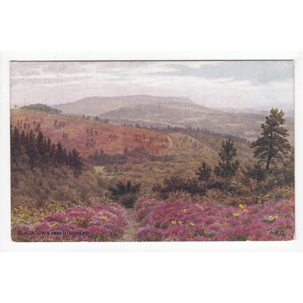 Blackdown from Hindhead Surrey 1942 A R Quinton ARQ Art Postcard 1066