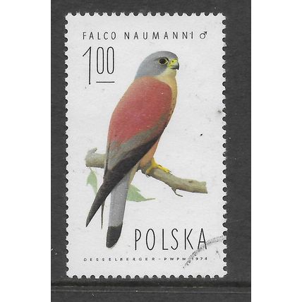 POLAND 1975 BIRD OF PREY 1Z MALE LESSER KESTREL SG2341 FINE USED #3