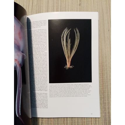 Underwater Photography Charles Seaborn 144 Pages Paperback