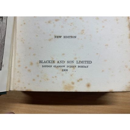 RARE* 1908 ELIZABETH J LYSAGHT "BROTHER AND SISTER" FICTION ANTIQUE BOOK (P4)