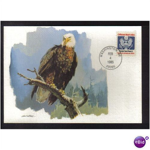 1985 USA BALD EAGLE WASHINGTON PMK REF 85-5 FDI