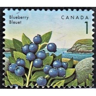 CANADA, 1991 1c Blueberry, SG 1460 (Scott #1349), used