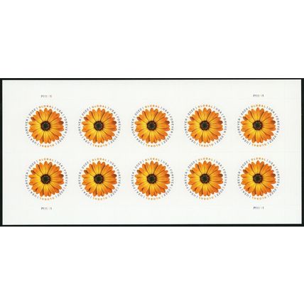 African Daisy International Mail Sheet of 10 Stamps