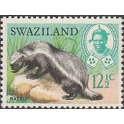 Swaziland QEII 1969 12½c Ratel Unmounted Mint MNH SG 169 Animals Stamp