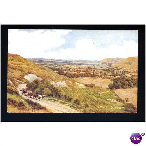 Sussex SOUTH DOWNS Salmon Art Postcard by ARQ (*3018)
