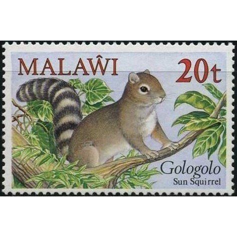 Malawi 1984 Mammals 20t Gambian Sun Squirrel Unmounted Mint NM SG704 Sc443 stamp