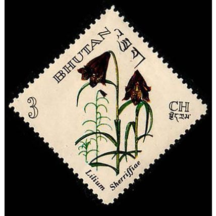 Bhutan 1967 Flowers 3ch MNH Stamp