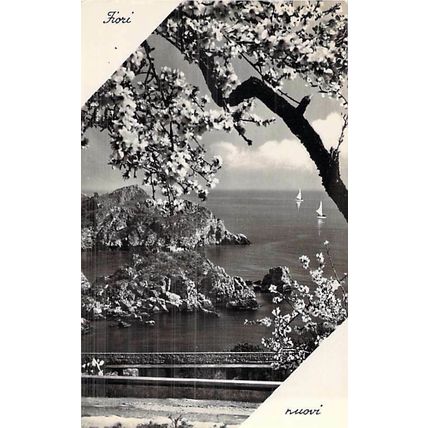 Fiori-Nuovi Italy Postcard unused VGC