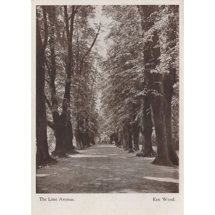 The Lime Avenue Ivy Bequest Ken Wood Kenwood House Postcard