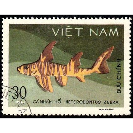 Vietnam 1980 Marine Life Fish 30xu Used Stamp Shark