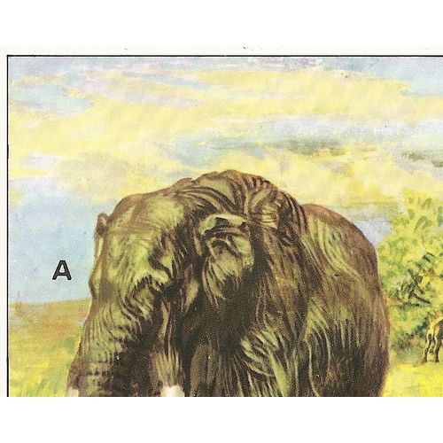 Panini's Dinosaurs Sticker Collection - Sticker No. 146