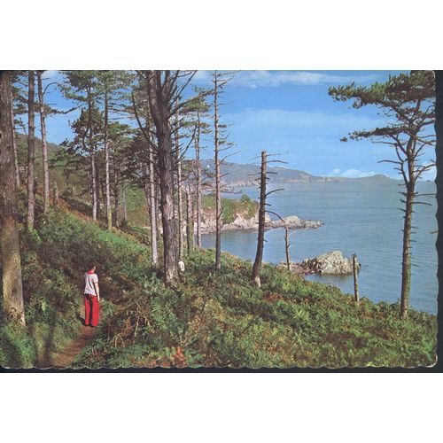 Vintage Guernsey PC 1969, The Pine Forest, Guernsey, Channel Islands
