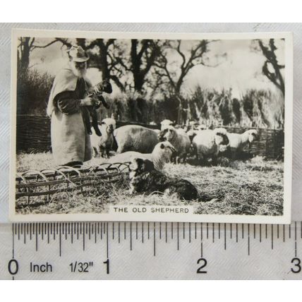 1938 Senior Service Our Countryside 23 Old Shepherd, Crondall