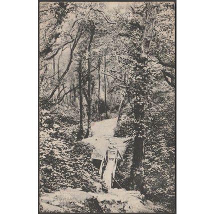 Ecclesbourne Glen, Hastings, Sussex, 1945 - Sussex Photographic Postcard