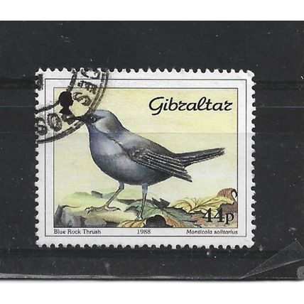 Gibraltar.SG599 44p Blue Rock Thrush.Fine Used.Nov23