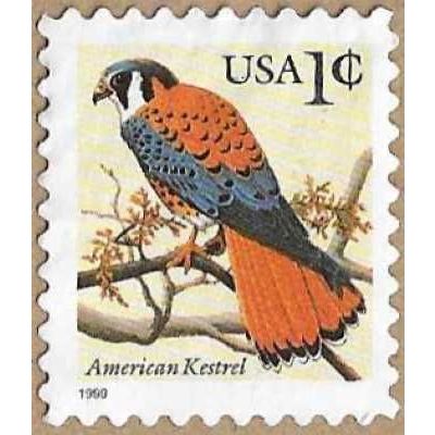 1999 American Kestrel 15927