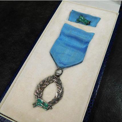 Hungarian Hungary Police Long Service Solid Silver Presentation Medal & Box