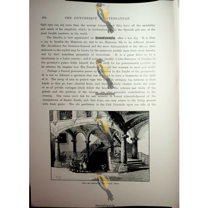 Court & Staircase, Casa Morelli, Palma, Mallorca, Spain, Book Illustration, 1890