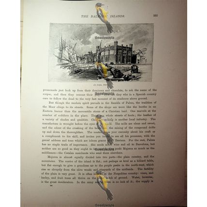 La Lonja, Palma, Mallorca, Spain, Book Illustration (Print), 1890