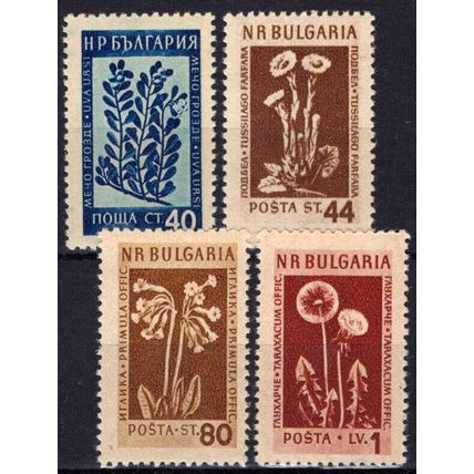 ZAYIX -Bulgaria 839-842 MNH Medicinal Flowers Plants Nature 082322S174