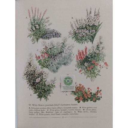 LOST GARDENS OF GERTRUDE JEKYLL by FENJA GUNN 1st EDITION HCDJ ILLUSTRATED