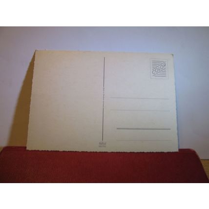 A WIRE HAIRED FOX TERRIER DOG.., unused postcard =