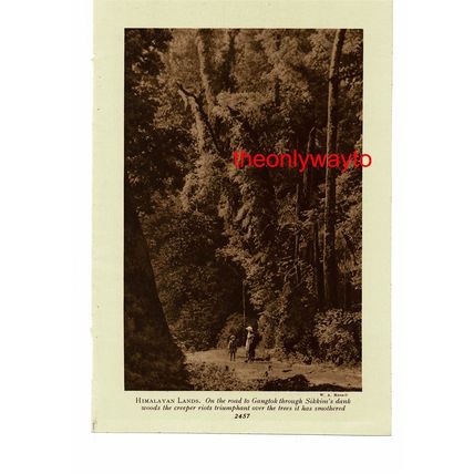Wooden Bridge, Srinagar, India (Road To Gangtok On Reverse), Book Illustration