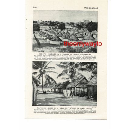 River Bemarivo, Auranodondona, Madagascar (Huts On Reverse), Book Illustration