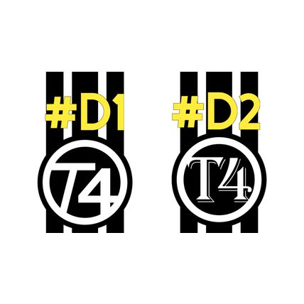 2 X T4 CAMPER DECAL BONNET STRIPES 2 DESIGNS MANY COLOURS