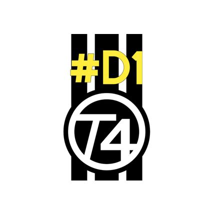 2 X T4 CAMPER DECAL BONNET STRIPES 2 DESIGNS MANY COLOURS