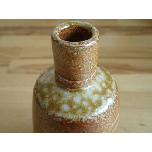 Stoneware Mottled Glaze Bottle Vase