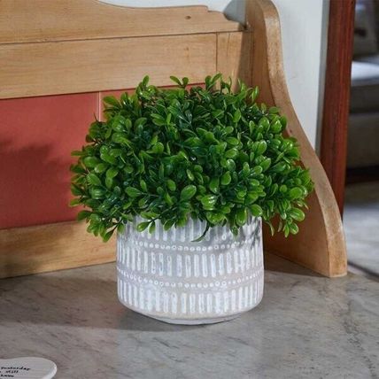 Artificial Indoor Green Plant Realistic Leaves Low Maintenance 22cm Home Office