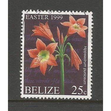 Belize 1999 Easter 25c Flowers, used. SG1243