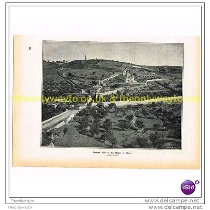 MOUNT OF OLIVES, JERUSALEM, Book Illustration, c1897