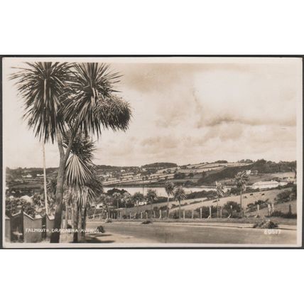 Dracaena Avenue, Falmouth, Cornwall, c.1950s - Photochrom RP Postcard