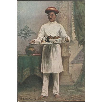A Table Servant, Bombay, c.1905 - Clifton & Co Postcard