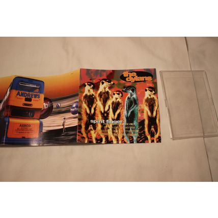 The Dylans Gold Stamp 5" Promo CD-SPIRIT FINGERS