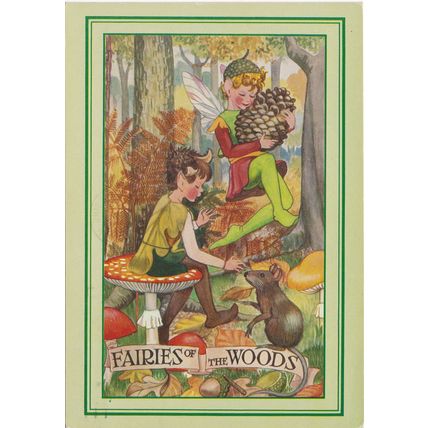 6x4 Continental size printed postcard Fairies of the Woods