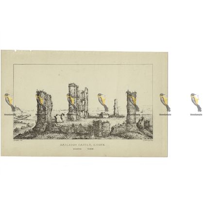 Hadleigh Castle, Essex, North View, Book Illustration (Print), c1873