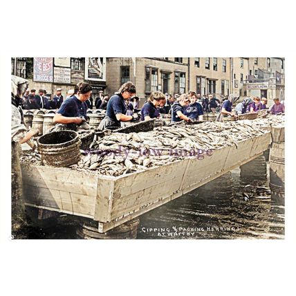 ptc4578 - Yorks. - "Herring Girls" Gipping & Packing Fish at Whitby - print 6x4