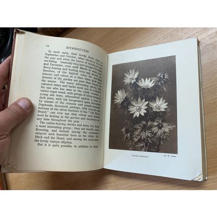 c1950 WINTER FLOWERING PLANTS FOR OUTDOOR BORDERS ILLUSTRATED HARDBACK BOOK (P3)