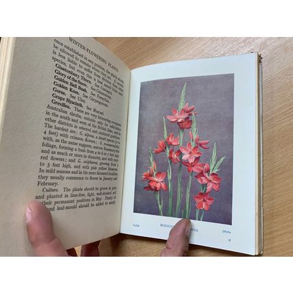 c1950 WINTER FLOWERING PLANTS FOR OUTDOOR BORDERS ILLUSTRATED HARDBACK BOOK (P3)