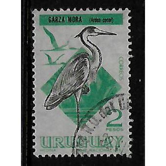 URUGUAY 1968 BIRDS 2p COCOI HERON BLACK & GREEN SG 1364 FINE USED