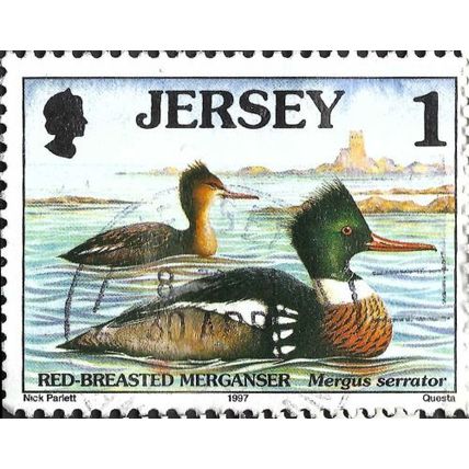 JERSEY, BIRD, Red-breasted merganser, Mergus serrator, blue 1997, 1p