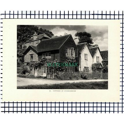 (7453) Coldharbour Surrey Cottages - 1949 Print / Cutting