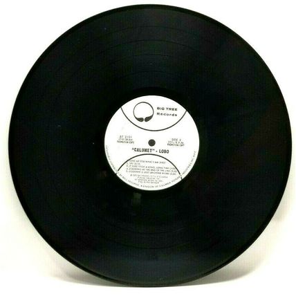 Lobo Calumet PROMO White Label LP 1973 Big Tree Vinyl Record Vintage (P2)