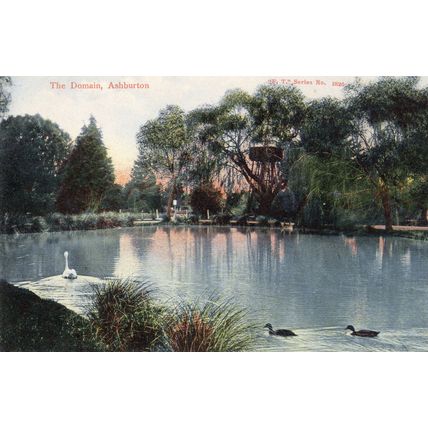 The Domain Ashburton Antique New Zealand Postcard